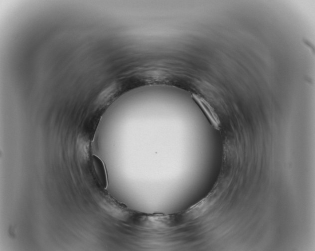 X0000095880188200801251148