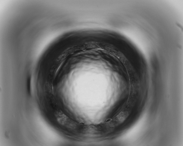 X0000095880189200801251148