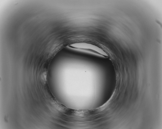 X0000095880190200801251148