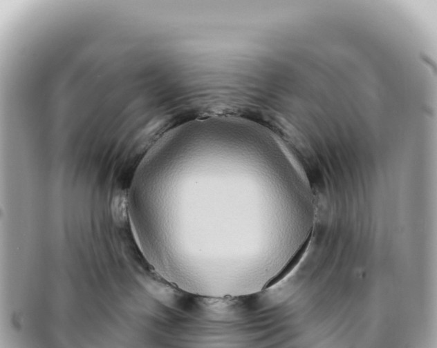 X0000095880191200801251148