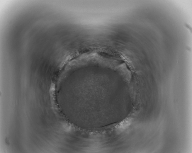 X0000095880192200801251148