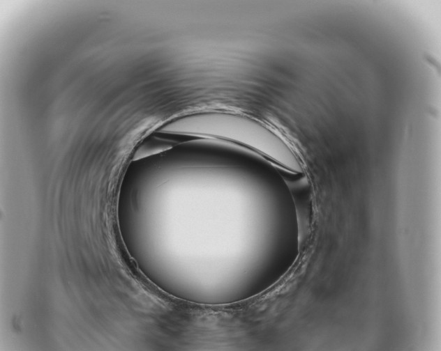 X0000095880193200801251148