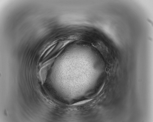 X0000095880194200801251148