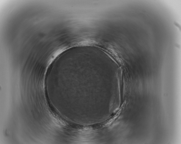 X0000095880196200801251148