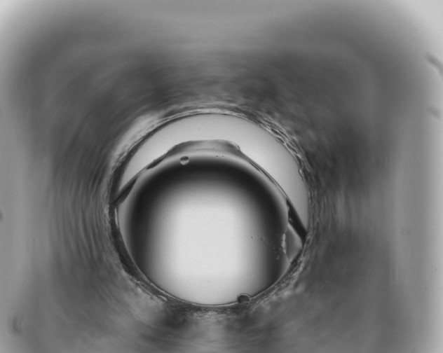 X0000095880197200801251148