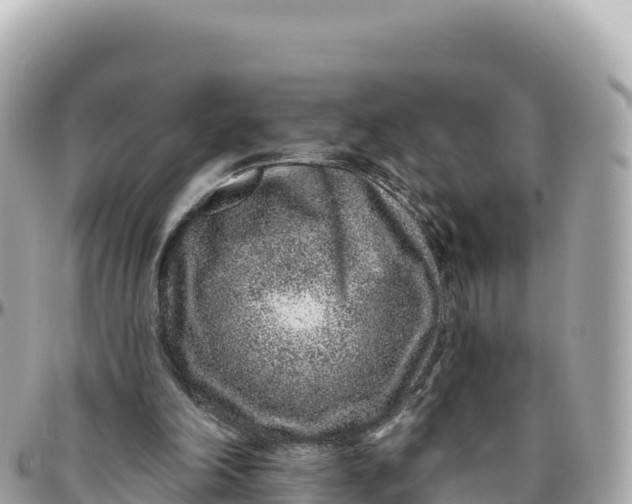 X0000095880198200801251148