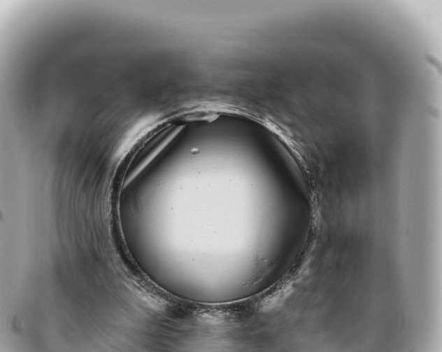 X0000095880199200801251148