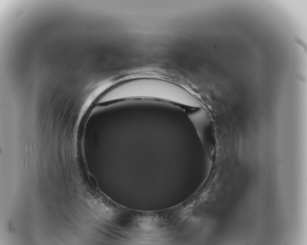 X0000095880200200801251148