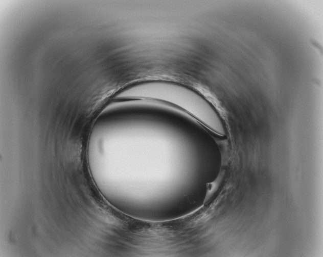 X0000095880201200801251148