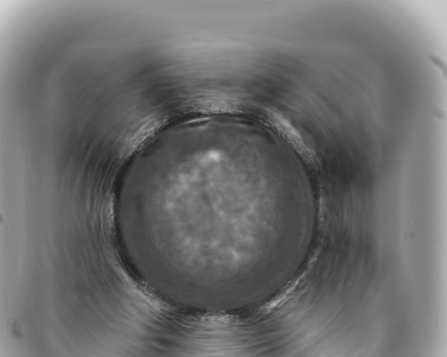 X0000095880202200801251148