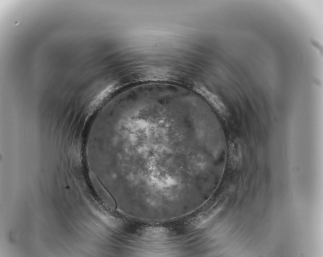 X0000095880203200801251148