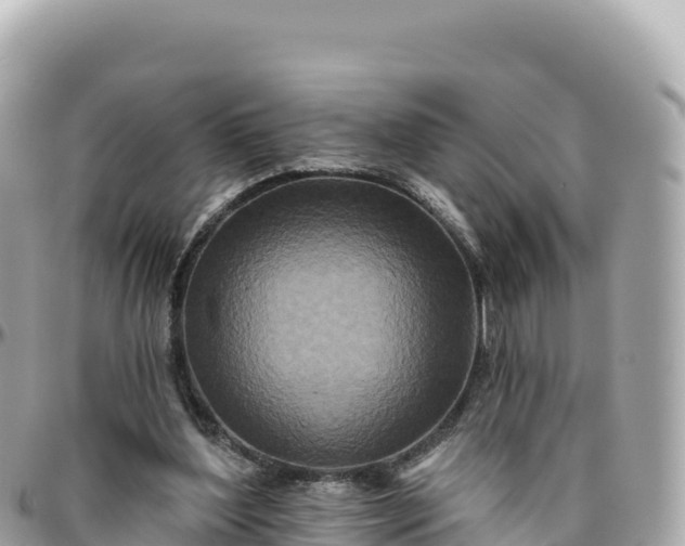 X0000095880204200801251148