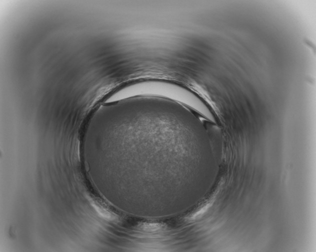 X0000095880205200801251147