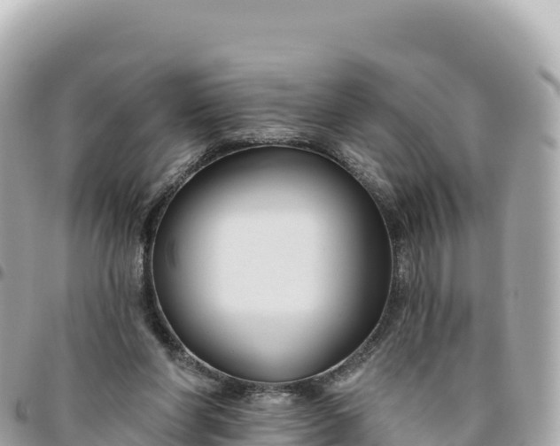 X0000095880206200801251147