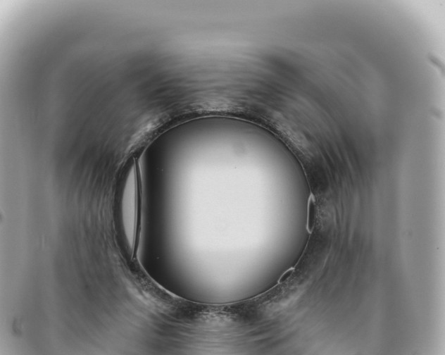 X0000095880207200801251147