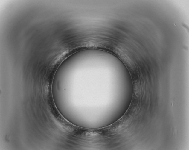 X0000095880208200801251147