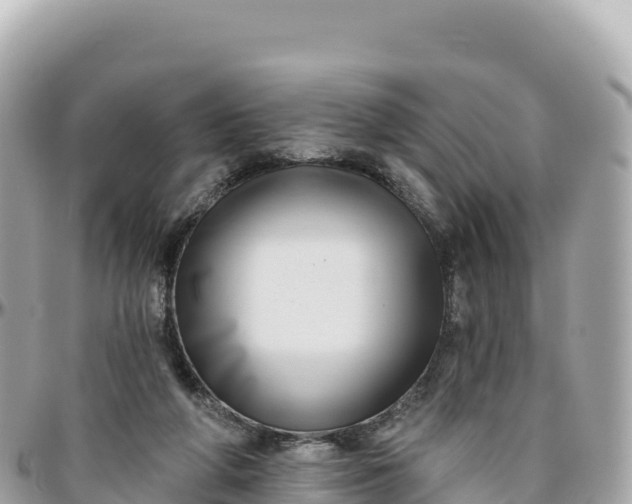 X0000095880210200801251147