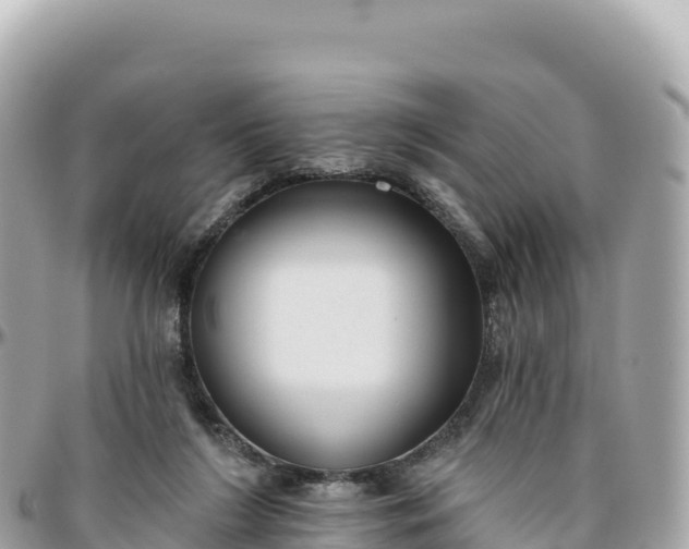 X0000095880212200801251147