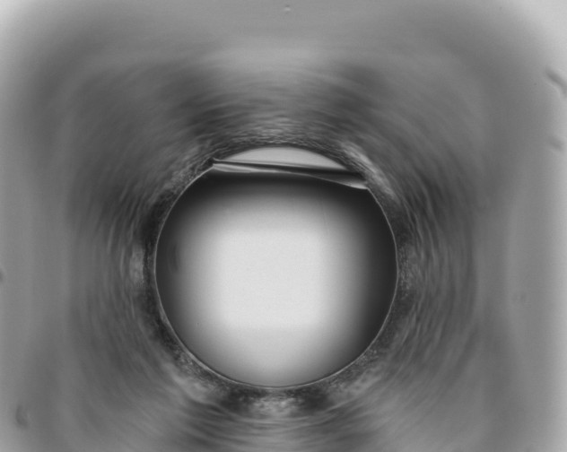 X0000095880213200801251147