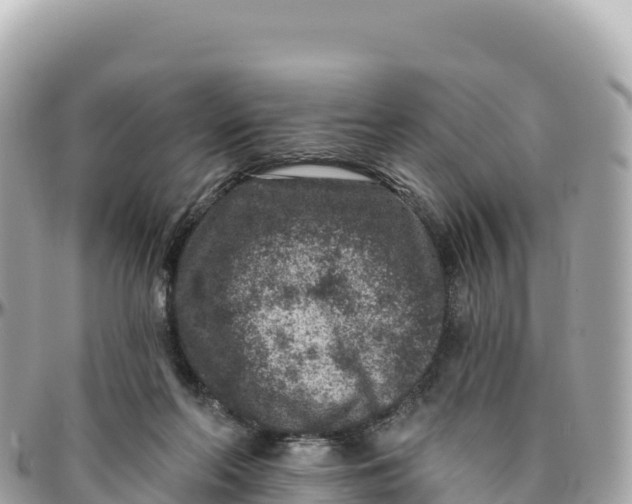 X0000095880214200801251147