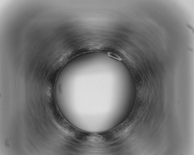 X0000095880215200801251147