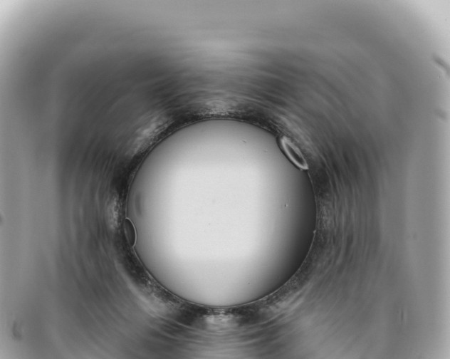 X0000095880216200801251147