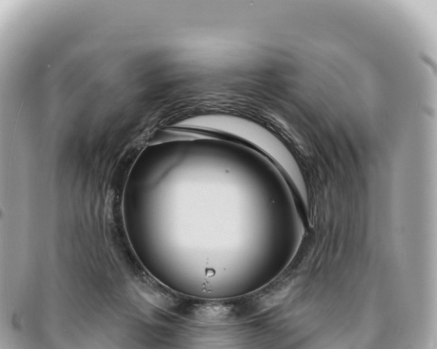 X0000095880217200801251147