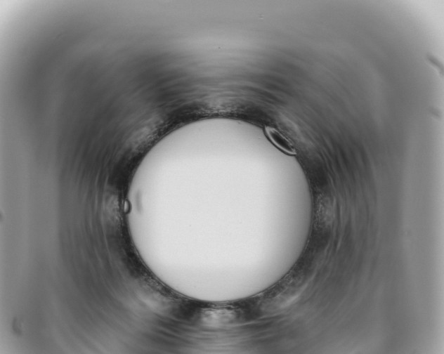 X0000095880220200801251147