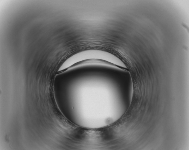 X0000095880221200801251147