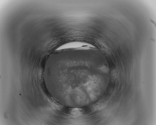 X0000095880222200801251147