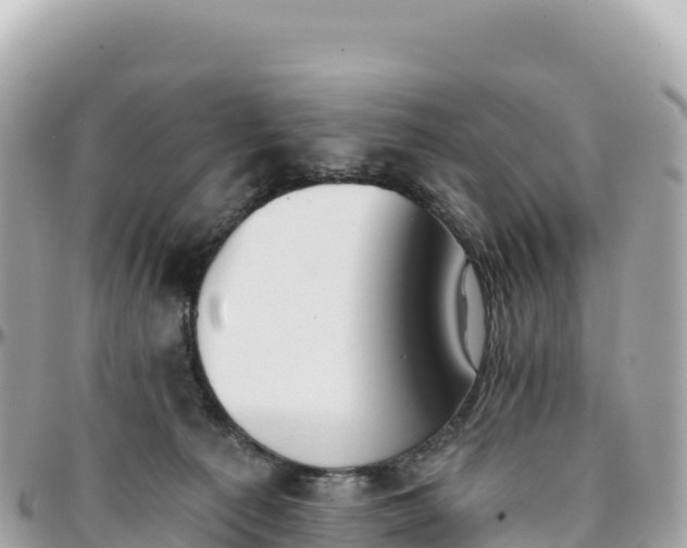 X0000095880225200801251147