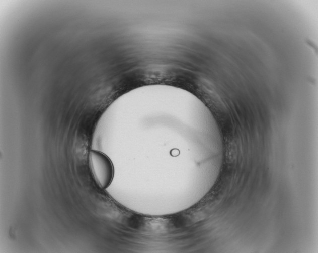 X0000095880226200801251147