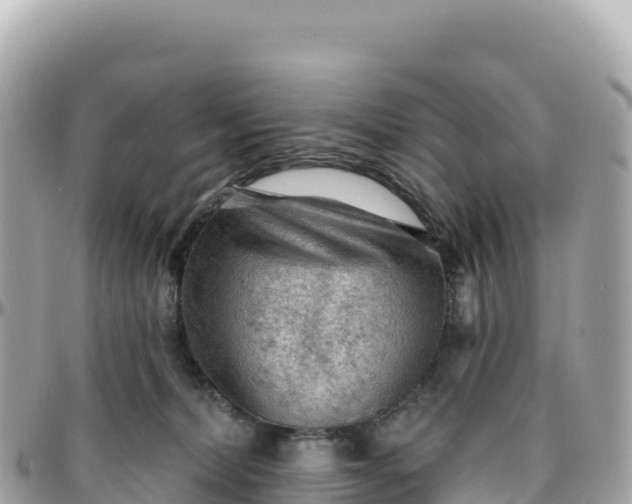 X0000095880228200801251147