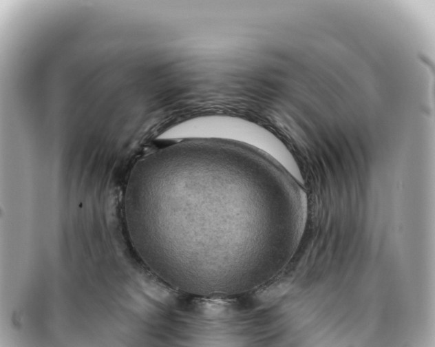 X0000095880229200801251147