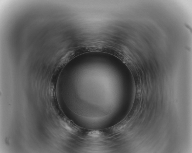 X0000095880231200801251147