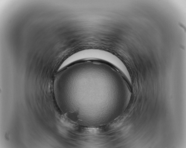 X0000095880233200801251147