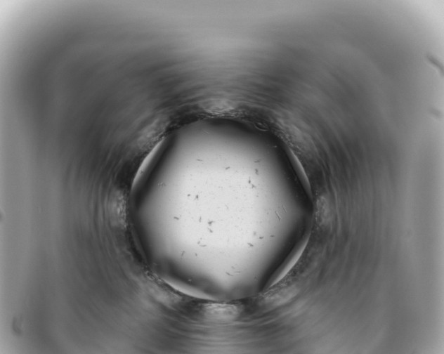 X0000095880234200801251147