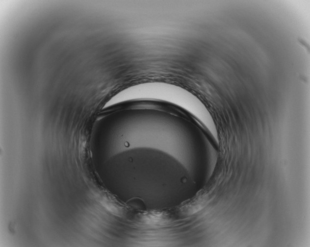 X0000095880235200801251147