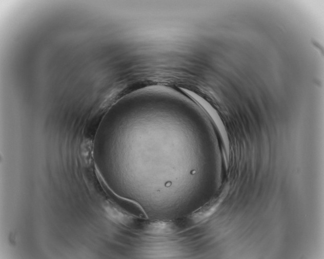 X0000095880237200801251147