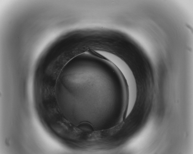 X0000095880239200801251147