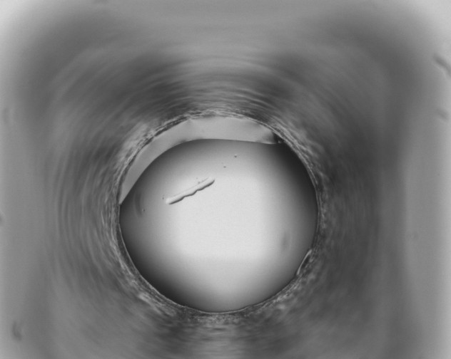 X0000095880241200801251146