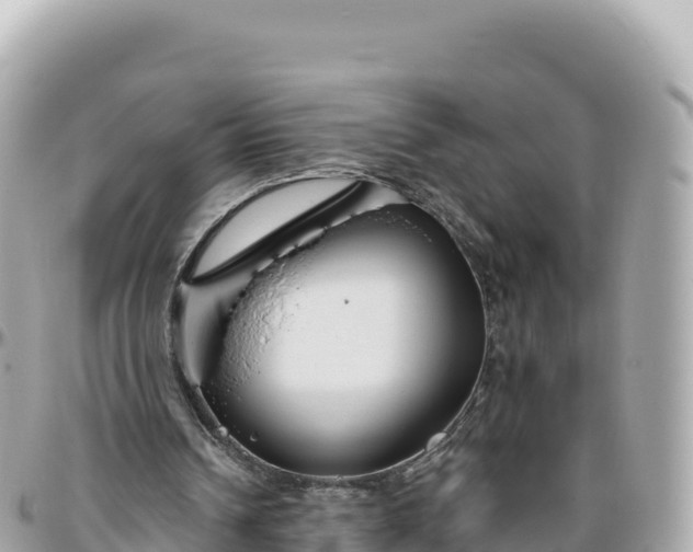 X0000095880242200801251146