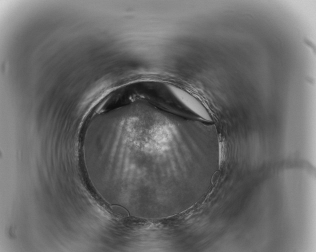 X0000095880243200801251146