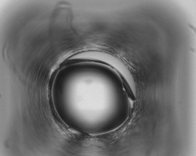 X0000095880244200801251146