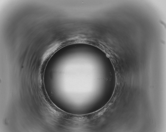 X0000095880245200801251146