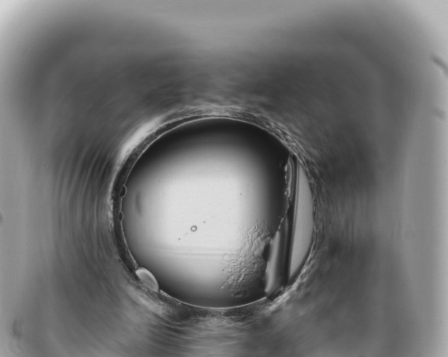 X0000095880246200801251146