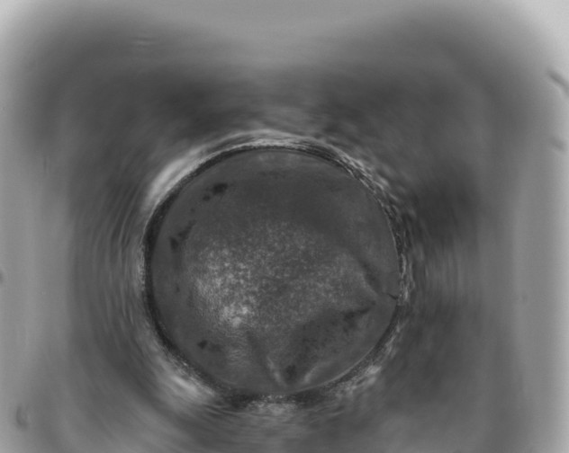 X0000095880247200801251146