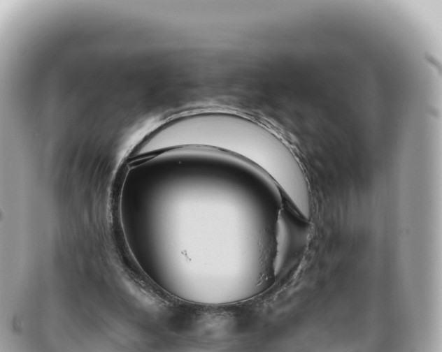 X0000095880248200801251146