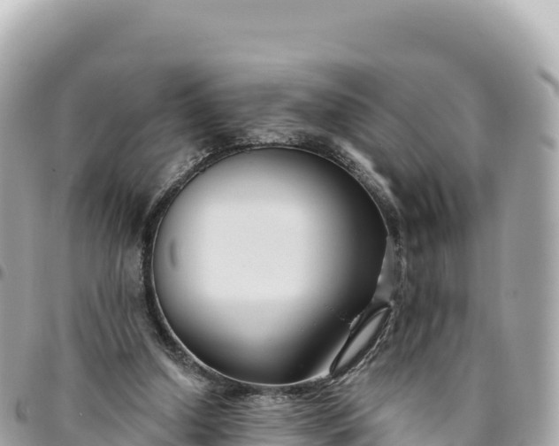 X0000095880250200801251146