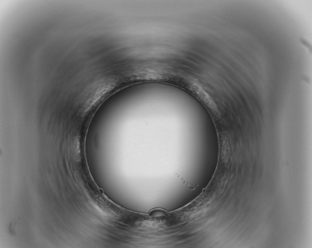 X0000095880251200801251146